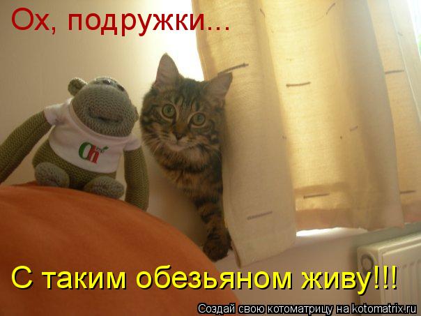 Котоматрица: Ох, подружки... С таким обезьяном живу!!!