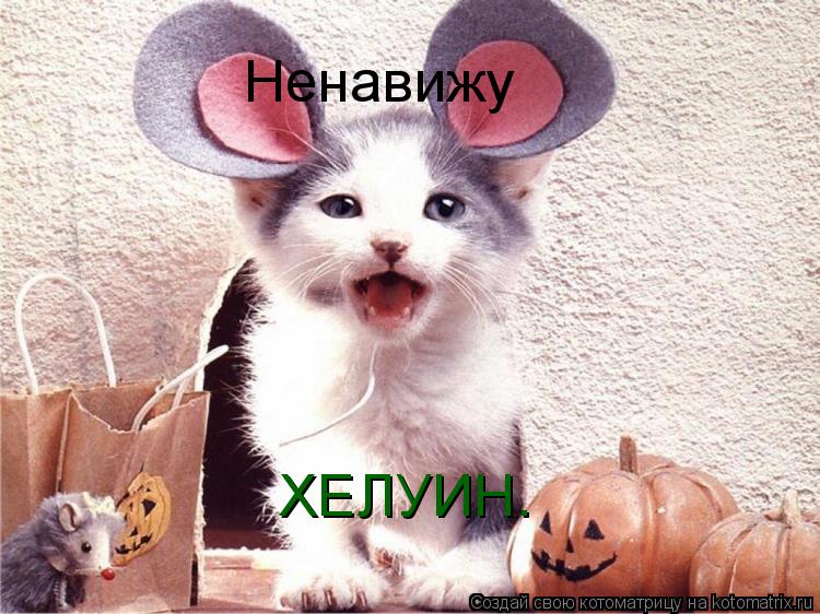 Котоматрица: Ненавижу ХЕЛУИН.