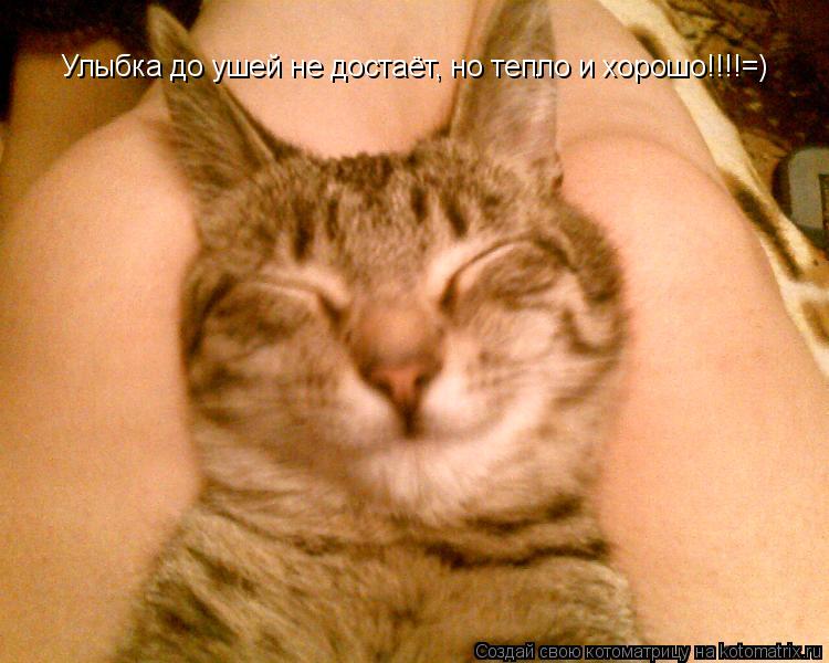 Котоматрица: Улыбка до ушей не достаёт, но тепло и хорошо!!!!=)