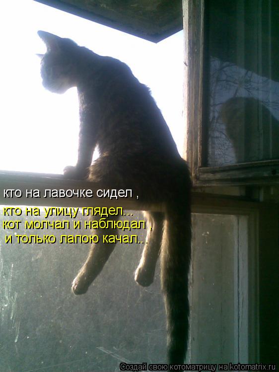 кто на лавочке сидел , кто на улицу глядел... кот молчал и наблюдал , и только лапою качал...... Котоматрица: кто на лавочке сидел , кто на улицу глядел... кот молчал и наблюдал , и только лапою качал...