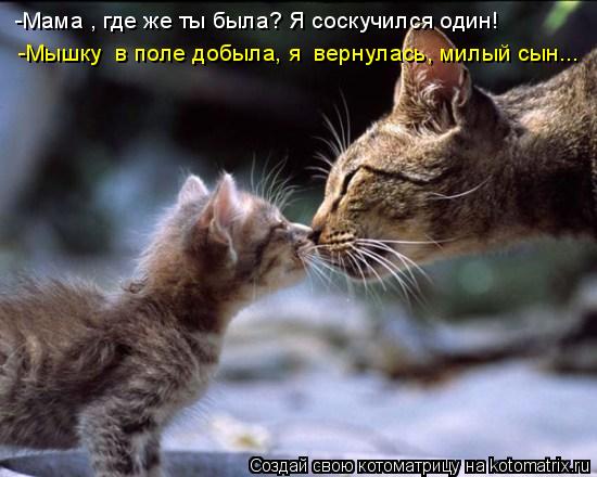 -Мама , где же ты была? Я соскучился один! -Мышку в поле добыла, я вернулась, милый сын...... Котоматрица: -Мама , где же ты была? Я соскучился один! -Мышку в поле добыла, я вернулась, милый сын...