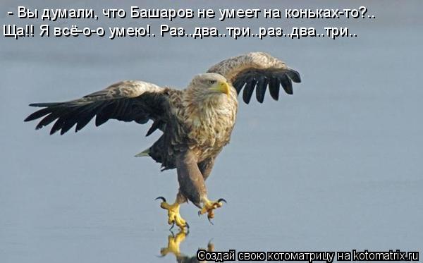 - Вы думали, что Башаров не умеет на коньках-то?.. Ща!! Я всё-о-о умею!. Раз..два..три..раз..два..т... Котоматрица: - Вы думали, что Башаров не умеет на коньках-то?.. Ща!! Я всё-о-о умею!. Раз..два..три..раз..два..три..