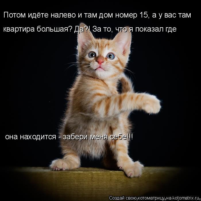 Котоматрица: Потом идёте налево и там дом номер 15, а у вас там квартира большая? Да?! За то, что я показал где она находится - забери меня себе!!!