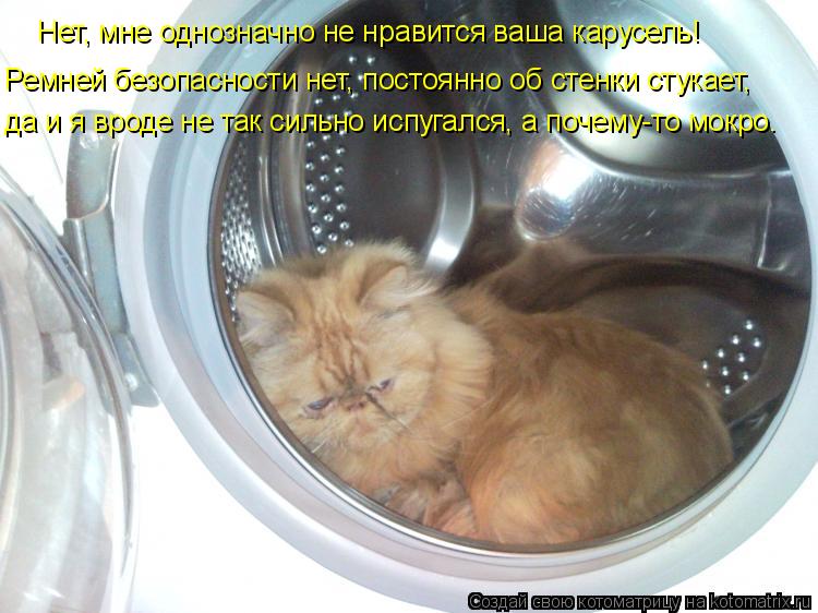 Котоматрица: Нет, мне однозначно не нравится ваша карусель! Ремней безопасности нет, постоянно об стенки стукает, да и я вроде не так сильно испугался, а 