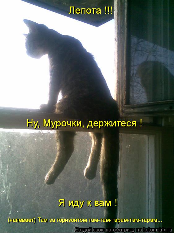 Лепота !!! Ну, Мурочки, держитеся ! Я иду к вам ! (напевает) Там за горизонтом там-там-тарам-там-тар... Котоматрица: Лепота !!! Ну, Мурочки, держитеся ! Я иду к вам ! (напевает) Там за горизонтом там-там-тарам-там-тарам...