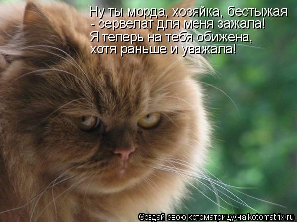 Ну ты морда, хозяйка, бестыжая - сервелат для меня зажала! Я теперь на тебя обижена, хотя раньше и ув... Котоматрица: Ну ты морда, хозяйка, бестыжая - сервелат для меня зажала! Я теперь на тебя обижена, хотя раньше и уважала!