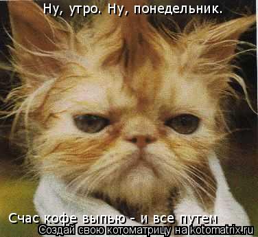 Ну, утро. Ну, понедельник. Счас кофе выпью - и все путем... Котоматрица: Ну, утро. Ну, понедельник. Счас кофе выпью - и все путем