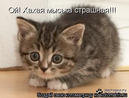 Ой! Хахая мыська страшная!!!... Котоматрица: Ой! Хахая мыська страшная!!!