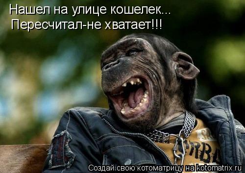 Нашел на улице кошелек... Пересчитал-не хватает!!!... Котоматрица: Нашел на улице кошелек... Пересчитал-не хватает!!!