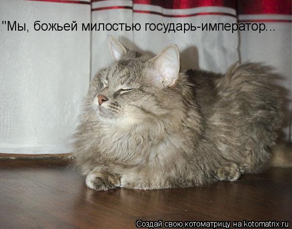 "Мы, божьей милостью государь-император...... Котоматрица: "Мы, божьей милостью государь-император...