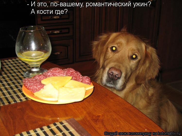 - И это, по-вашему, романтический ужин? А кости где?... Котоматрица: - И это, по-вашему, романтический ужин? А кости где?