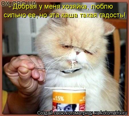 - Добрая у меня хозяйка, люблю сильно ее, но эта каша такая гадость!... Котоматрица: - Добрая у меня хозяйка, люблю сильно ее, но эта каша такая гадость!