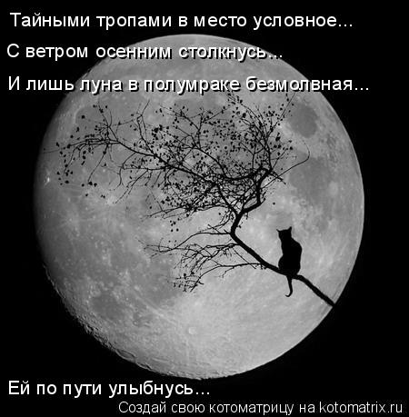 Тайными тропами в место условное... С ветром осенним столкнусь... И лишь луна в полумраке безмолвная.... Котоматрица: Тайными тропами в место условное... С ветром осенним столкнусь... И лишь луна в полумраке безмолвная... Ей по пути улыбнусь...