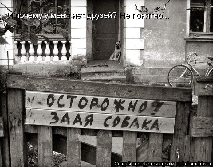 И почему у меня нет друзей? Не понятно...... Котоматрица: И почему у меня нет друзей? Не понятно...