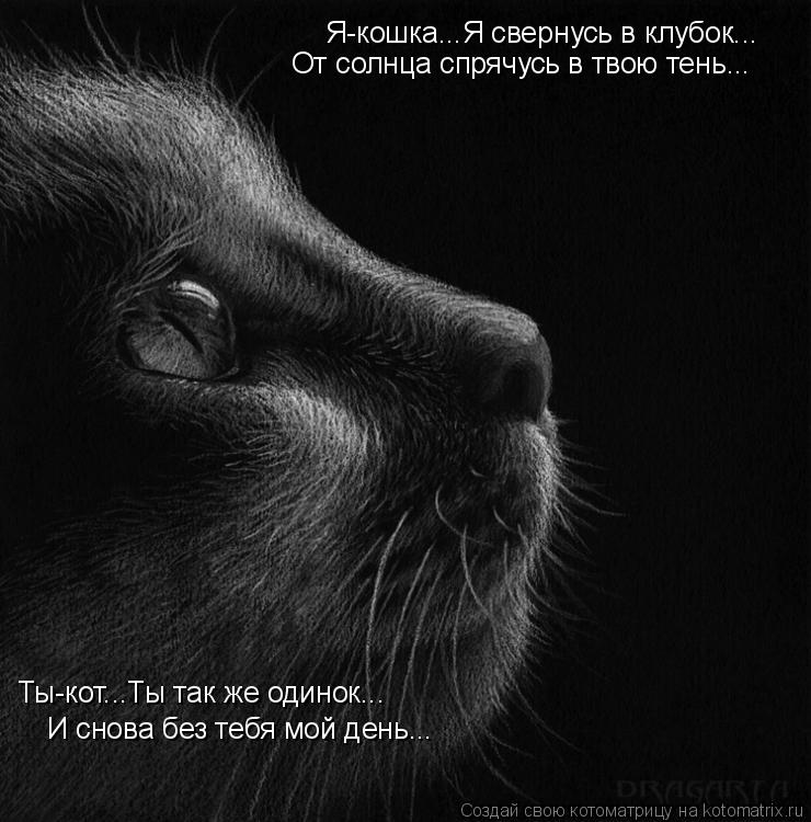 Я-кошка...Я свернусь в клубок... От солнца спрячусь в твою тень... Ты-кот...Ты так же одинок... И сно... Котоматрица: Я-кошка...Я свернусь в клубок... От солнца спрячусь в твою тень... Ты-кот...Ты так же одинок... И снова без тебя мой день...