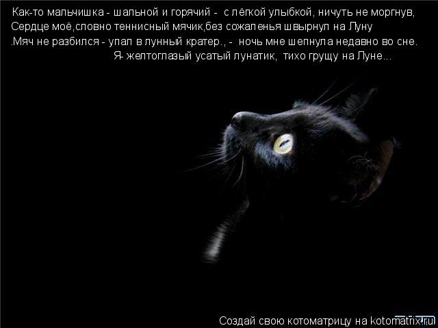 Котоматрица: Как-то мальчишка - шальной и горячий -  с лёгкой улыбкой, ничуть не моргнув, Сердце моё,словно теннисный мячик,без сожаленья швырнул на Луну  