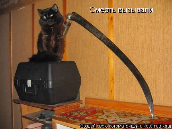 Смерть вызывали... Котоматрица: Смерть вызывали