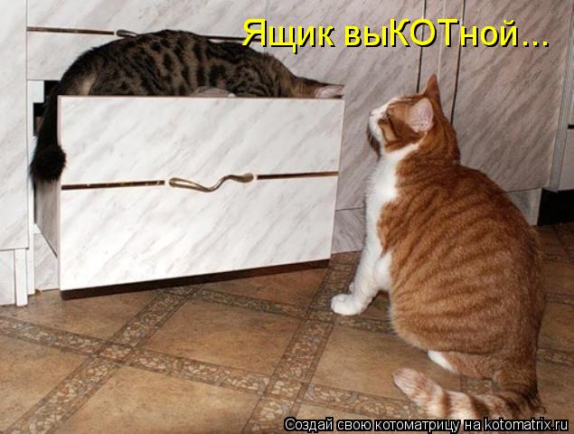 Ящик выКОТной... Ящик выКОТной...... Котоматрица: Ящик выКОТной... Ящик выКОТной...