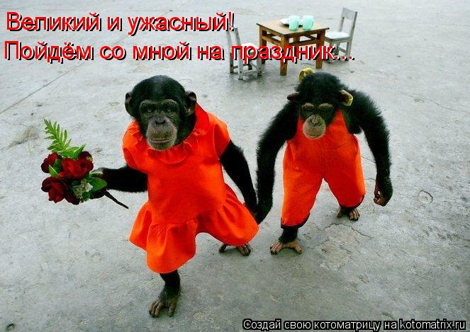 Котоматрица: Великий и ужасный! Великий и ужасный! Пойдём со мной на праздник... Пойдём со мной на праздник...