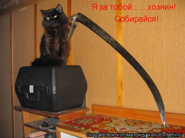 Котоматрица: Я за тобой... ...хозяин! Собирайся!