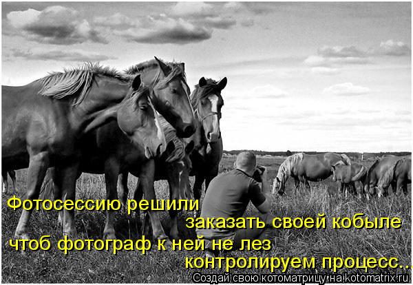 Котоматрица: Фотосессию решили  заказать своей кобыле чтоб фотограф к ней не лез контролируем процесс...