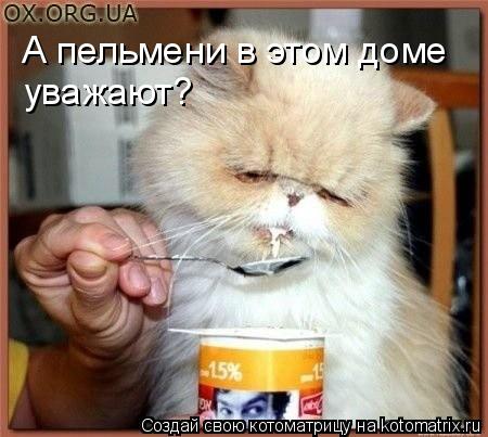Котоматрица: А пельмени в этом доме уважают?