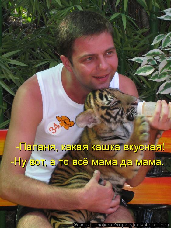 Котоматрица: -Папаня, какая кашка вкусная! -Ну вот, а то всё мама да мама.