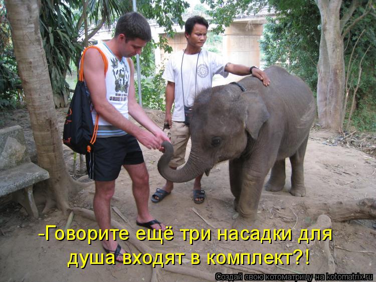 -Говорите ещё три насадки для душа входят в комплект?!... Котоматрица: -Говорите ещё три насадки для душа входят в комплект?!