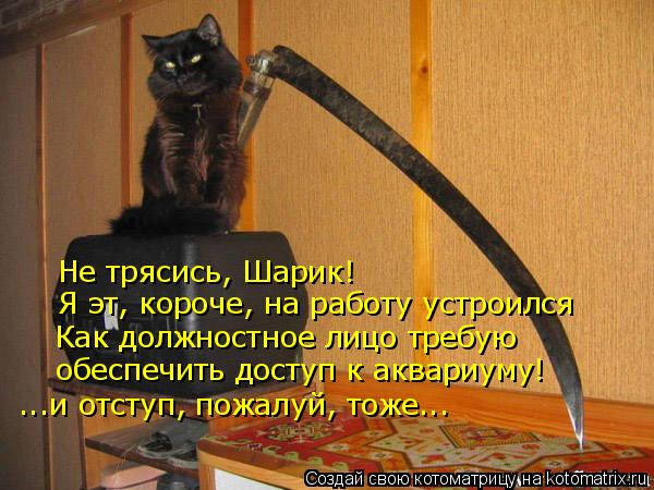 Котоматрица: Не трясись, Шарик! Я эт, короче, на работу устроился Как должностное лицо требую обеспечить доступ к аквариуму!  ...и отступ, пожалуй, тоже...