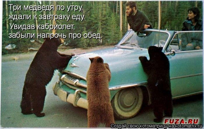 Котоматрица: Три медведя по утру, ждали к завтраку еду. Увидав кабриолет, забыли напрочь про обед.