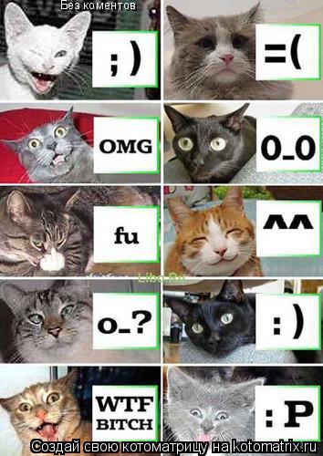 Котоматрица: Без коментов