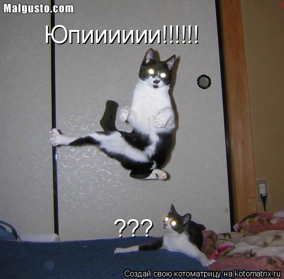 Котоматрица: Юпииииии!!!!!! ???