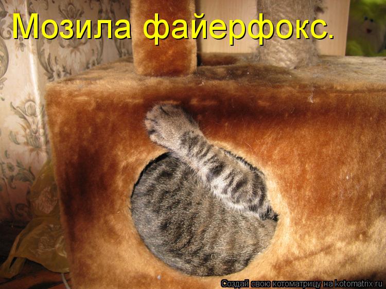 Мозила файерфокс.... Котоматрица: Мозила файерфокс.