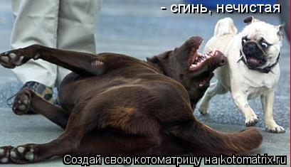 - сгинь, нечистая... Котоматрица: - сгинь, нечистая