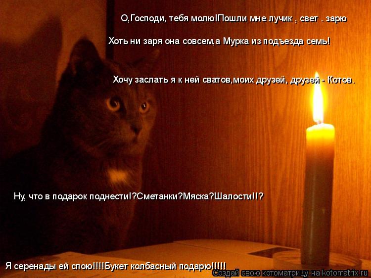 Котоматрица: О,Господи, тебя молю!Пошли мне лучик , свет – зарю Хоть ни заря она совсем,а Мурка из подъезда семь! Хочу заслать я к ней сватов,моих друзей, д