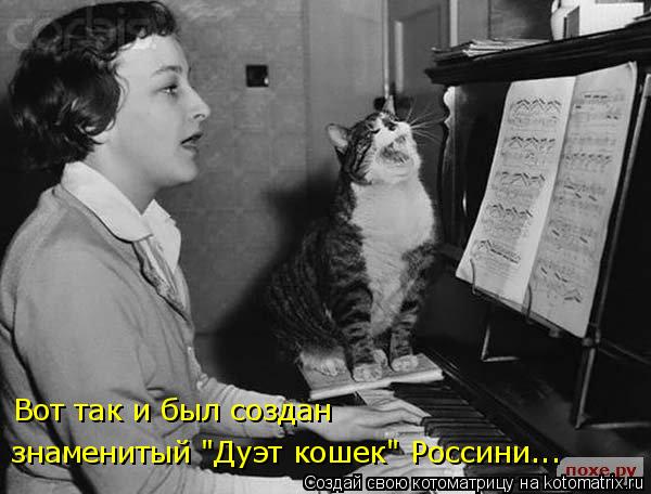 Вот так и был создан знаменитый "Дуэт кошек" Россини...... Котоматрица: Вот так и был создан знаменитый "Дуэт кошек" Россини...