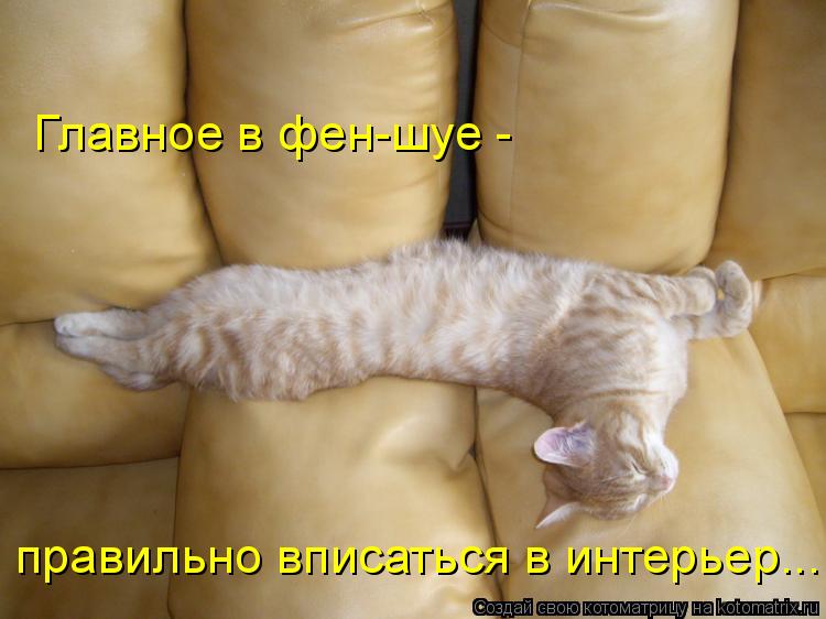 Котоматрица: Главное в фен-шуе -  правильно вписаться в интерьер...