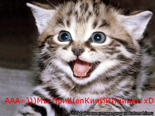 Котоматрица: ААА=)))Мы ПриЩепКииИИИиииии xD