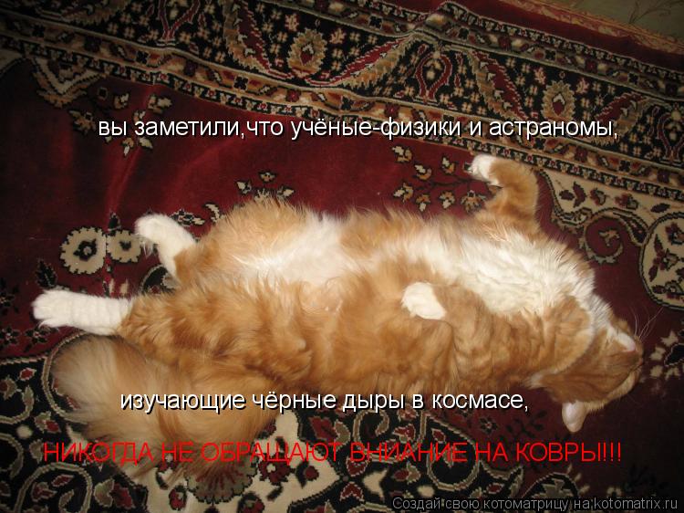 Котоматрица: вы заметили,что учёные-физики и астраномы, изучающие чёрные дыры в космасе, НИКОГДА НЕ ОБРАЩАЮТ ВНИАНИЕ НА КОВРЫ!!!