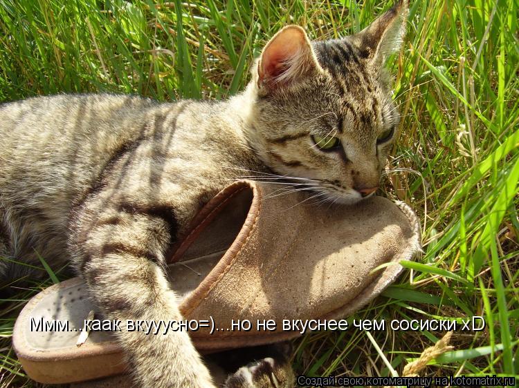 Котоматрица: Ммм...каак вкууусно=)...но не вкуснее чем сосиски xD