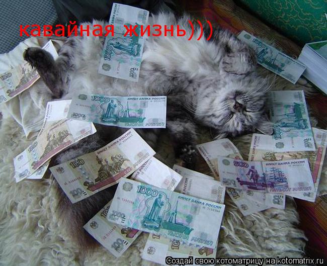 Котоматрица: кавайная жизнь)))