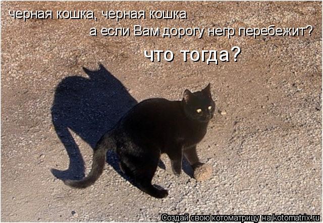 черная кошка, черная кошка а если Вам дорогу негр перебежит? что тогда?... Котоматрица: черная кошка, черная кошка а если Вам дорогу негр перебежит? что тогда?