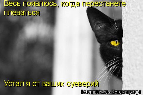 Весь появлюсь, когда перестанете плеваться Устал я от ваших суеверий... Котоматрица: Весь появлюсь, когда перестанете плеваться Устал я от ваших суеверий