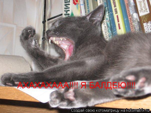Котоматрица: АХАХАХААА!!!! Я БАЛДЕЮ!!!! АХАХАХААА!!!! Я БАЛДЕЮ!!!!