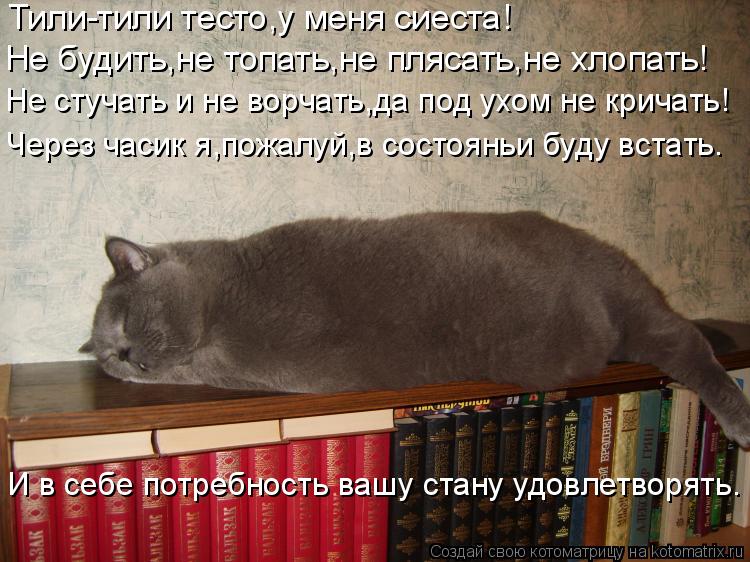Котоматрица: Тили-тили тесто,у меня сиеста! Не будить,не топать,не плясать,не хлопать! Не стучать и не ворчать,да под ухом не кричать! Через часик я,пожалу