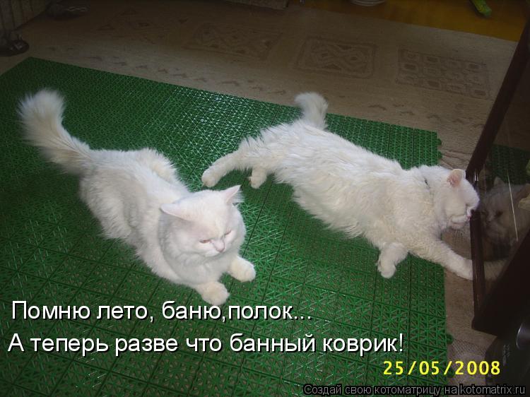 Котоматрица: Помню лето, баню,полок... А теперь разве что банный коврик!