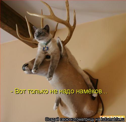 Котоматрица: - Вот только не надо намёков...
