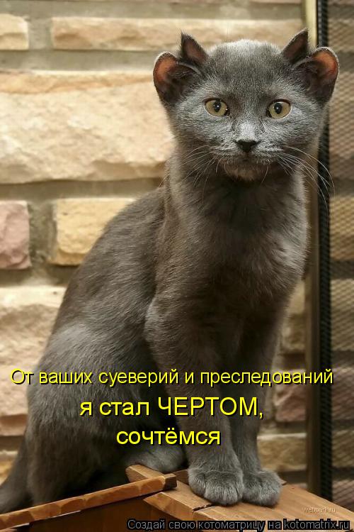 Котоматрица: От ваших суеверий и преследований я стал ЧЕРТОМ, сочтёмся