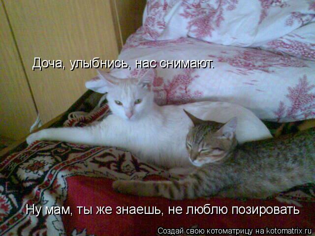 Котоматрица: Доча, улыбнись, нас снимают. Ну мам, ты же знаешь, не люблю позировать