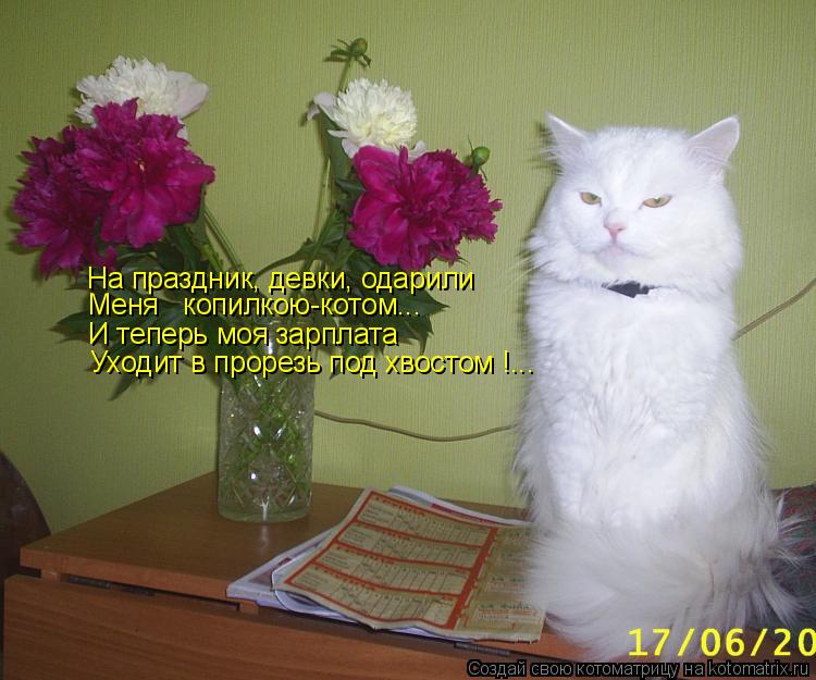 Меня копилкою-котом... На праздник, девки, одарили И теперь моя зарплата Уходит в прорезь под хвос... Котоматрица: Меня копилкою-котом... На праздник, девки, одарили И теперь моя зарплата Уходит в прорезь под хвостом !...